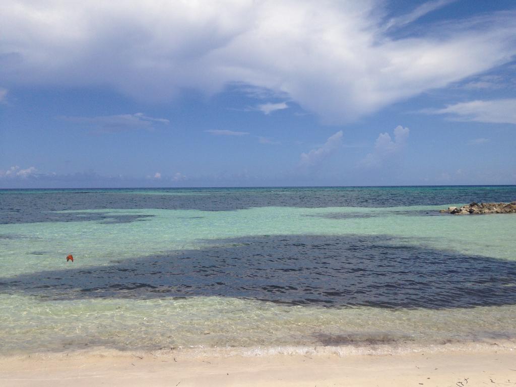 Seacastles By The Beach/Pool Montego Bay Extérieur photo